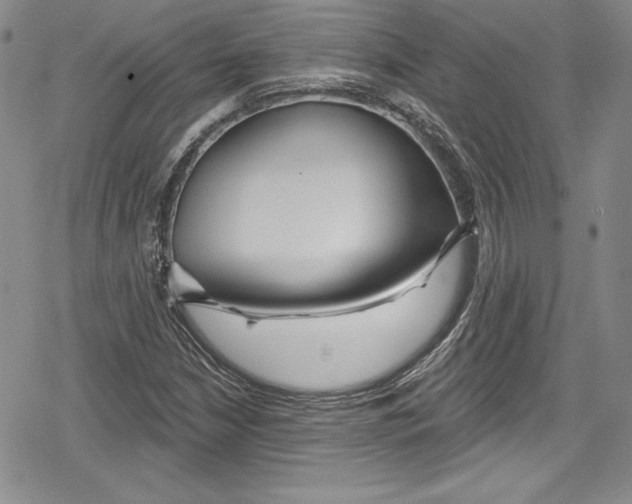 X0000078831210200612111511