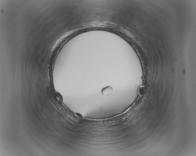 X0000078831214200612111511