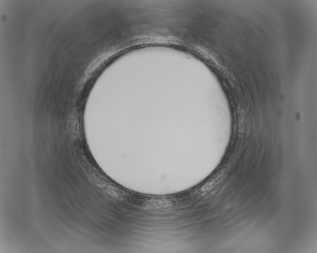 X0000078831215200612111511