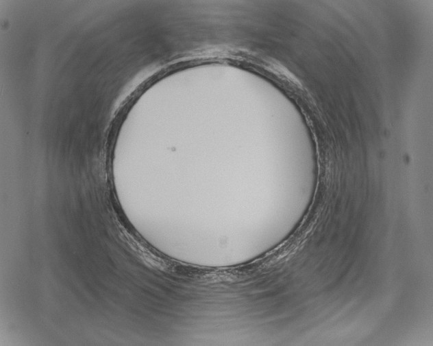 X0000078831216200612111511