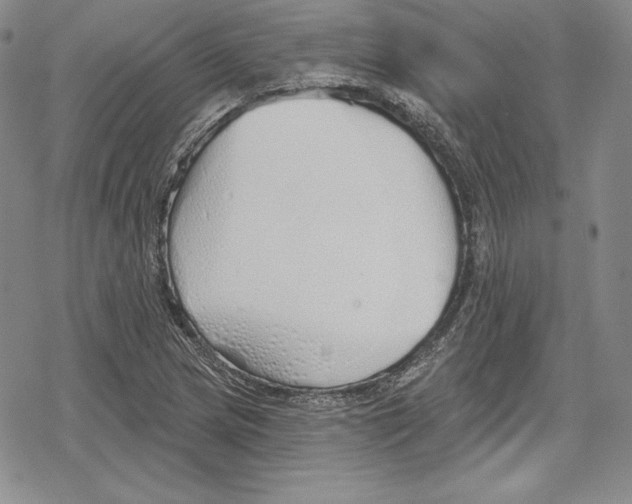 X0000078831217200612111511