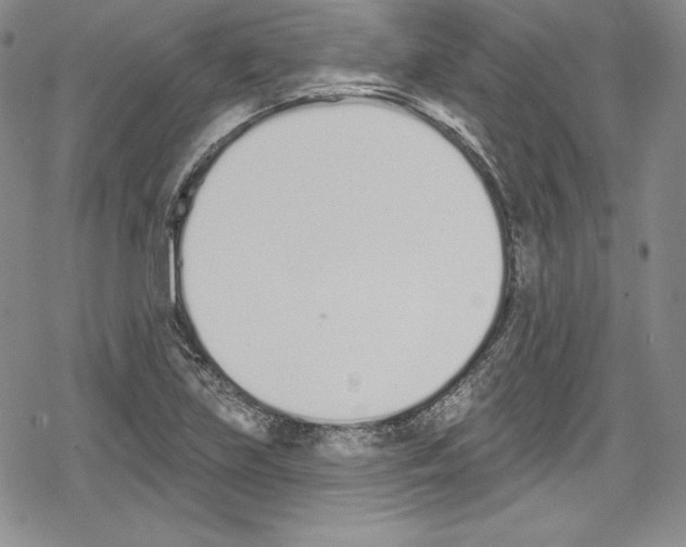 X0000078831219200612111511