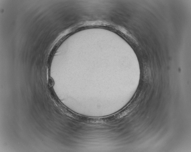 X0000078831221200612111511