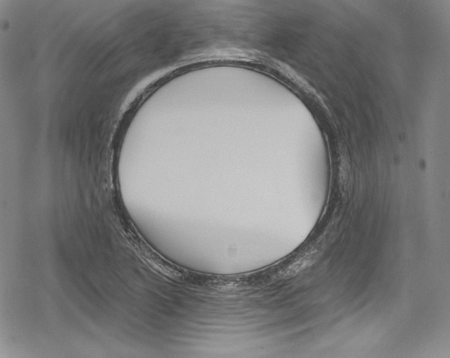 X0000078831222200612111511