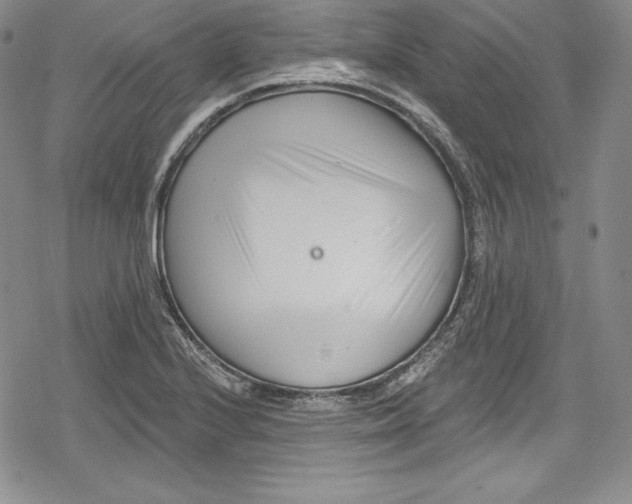 X0000078831224200612111511