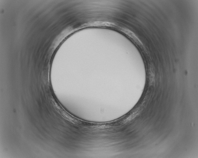 X0000078831228200612111511