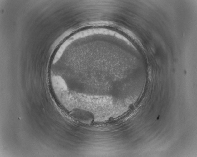 X0000078831229200612111511