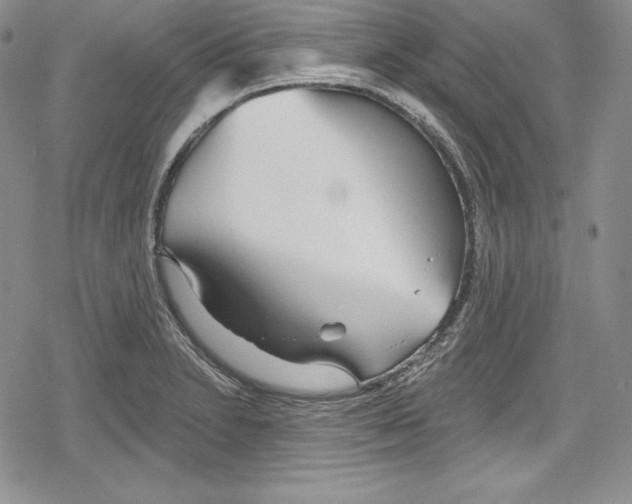 X0000078831230200612111511