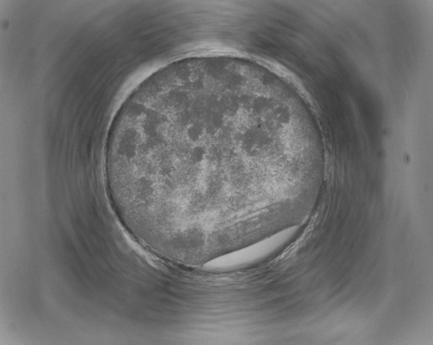 X0000078831231200612111511