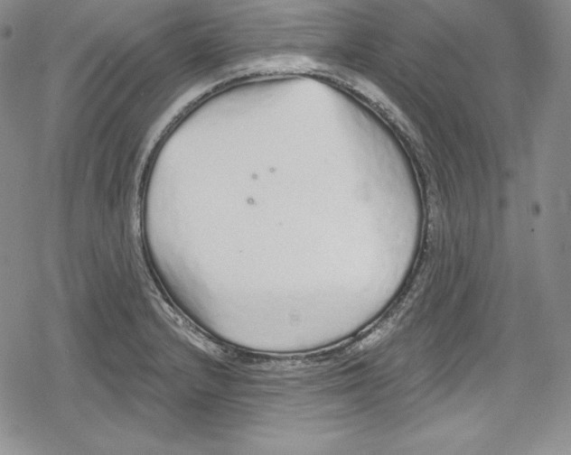 X0000078831232200612111511