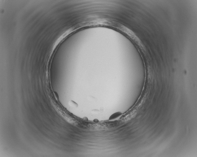 X0000078831234200612111511