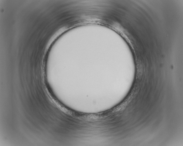 X0000078831235200612111511