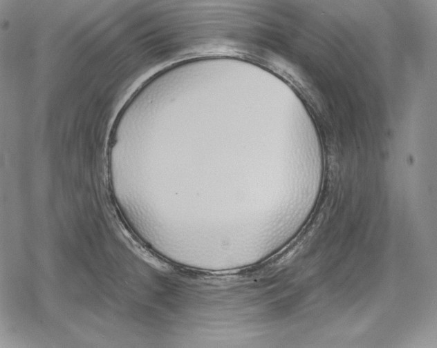 X0000078831236200612111511