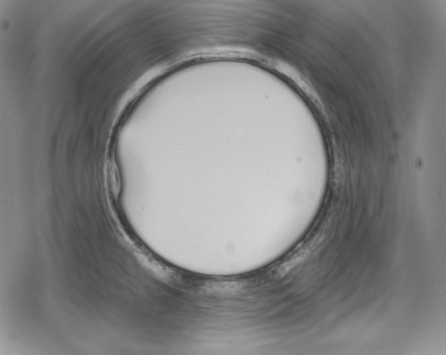 X0000078831237200612111511