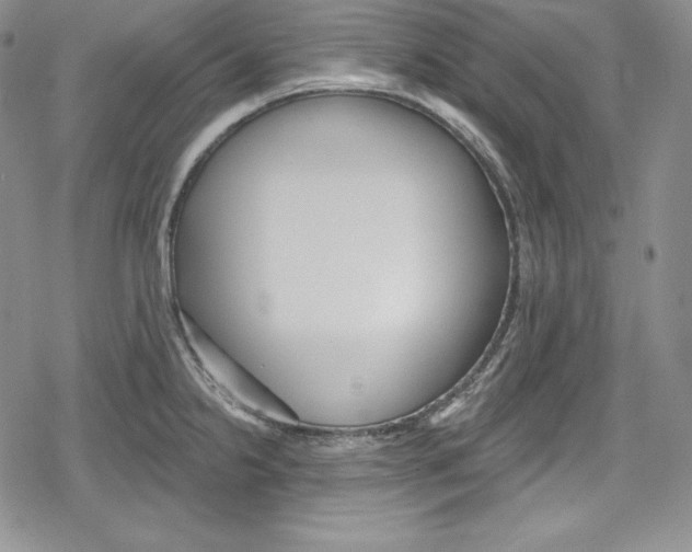 X0000078831238200612111511