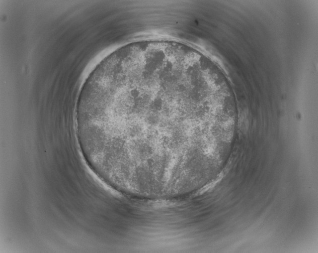 X0000078831239200612111511