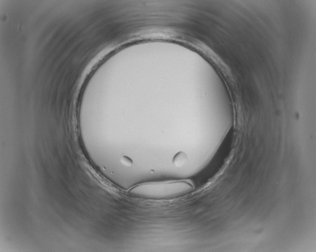 X0000078831240200612111511