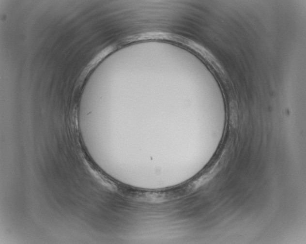 X0000078831241200612111511