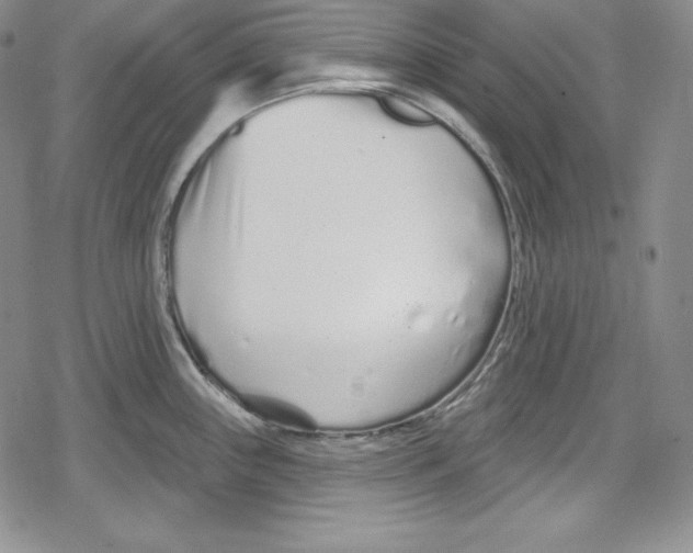 X0000078831243200612111511