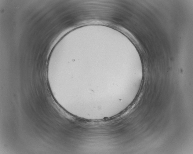 X0000078831244200612111511