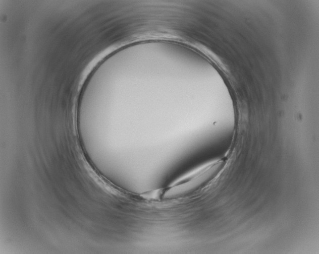 X0000078831246200612111511