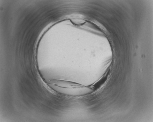 X0000078831248200612111511