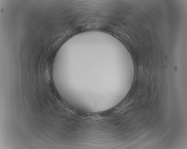 X0000078831250200612111511