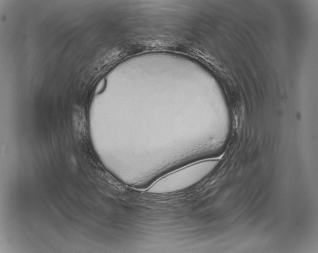 X0000078831251200612111511