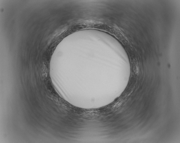 X0000078831253200612111511