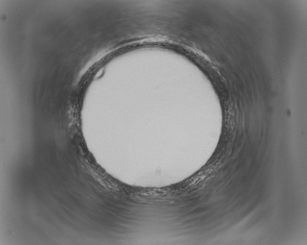 X0000078831255200612111510