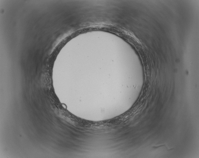 X0000078831256200612111510