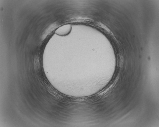 X0000078831259200612111510