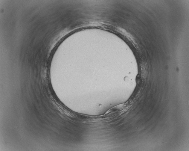 X0000078831260200612111510