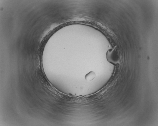 X0000078831262200612111510