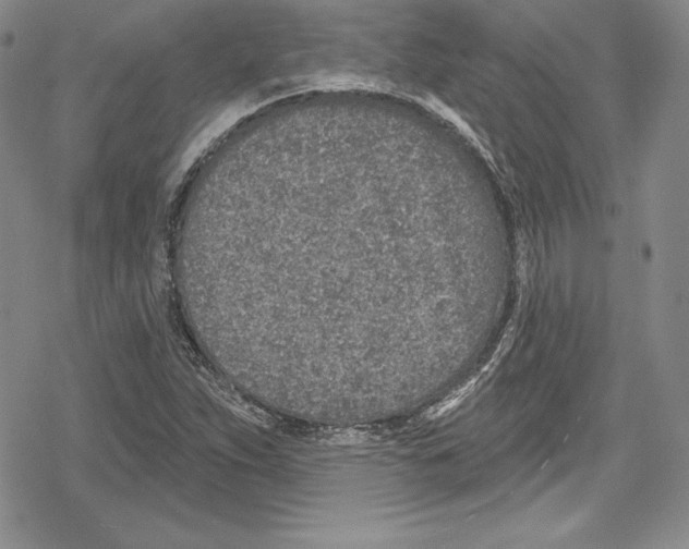 X0000078831263200612111510