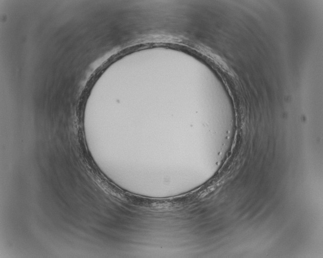 X0000078831264200612111510