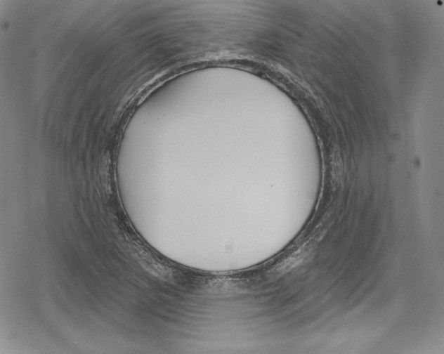 X0000078831265200612111510