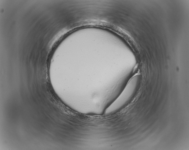 X0000078831267200612111510