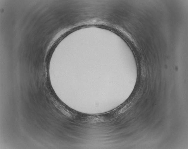 X0000078831270200612111510