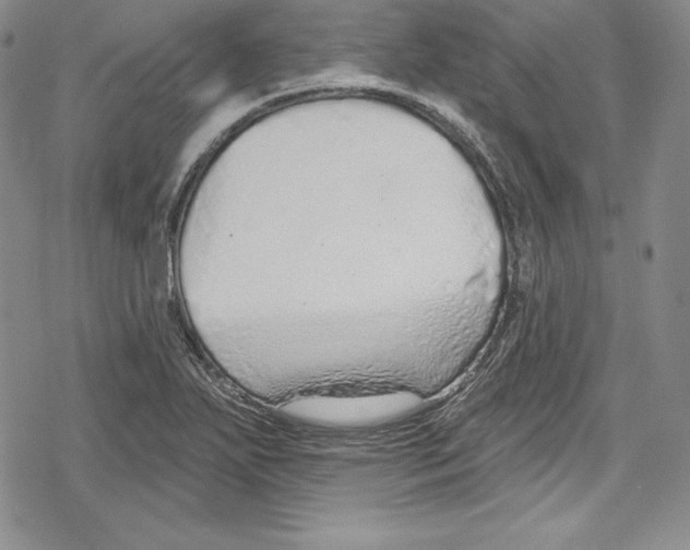 X0000078831271200612111510