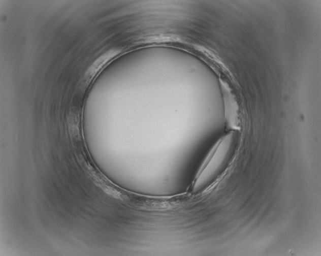 X0000078831273200612111510