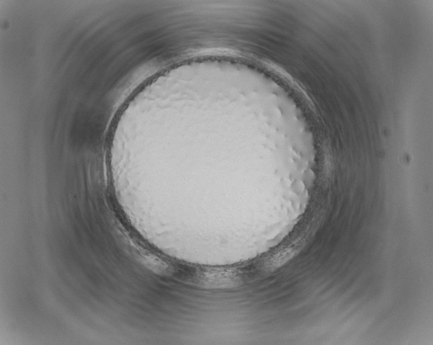 X0000078831274200612111510