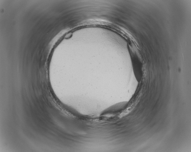 X0000078831275200612111510