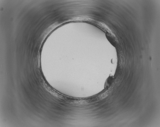 X0000078831276200612111510