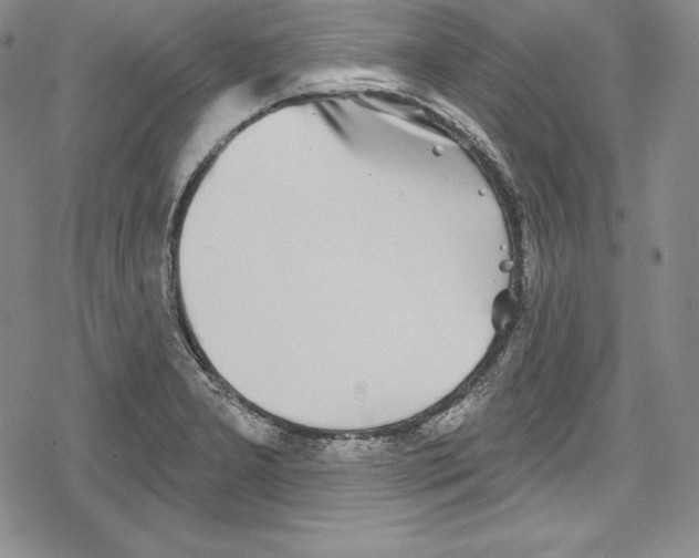 X0000078831277200612111510