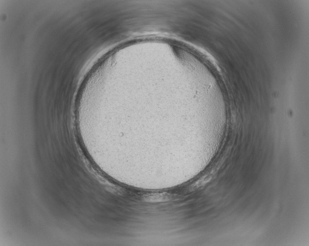 X0000078831279200612111510