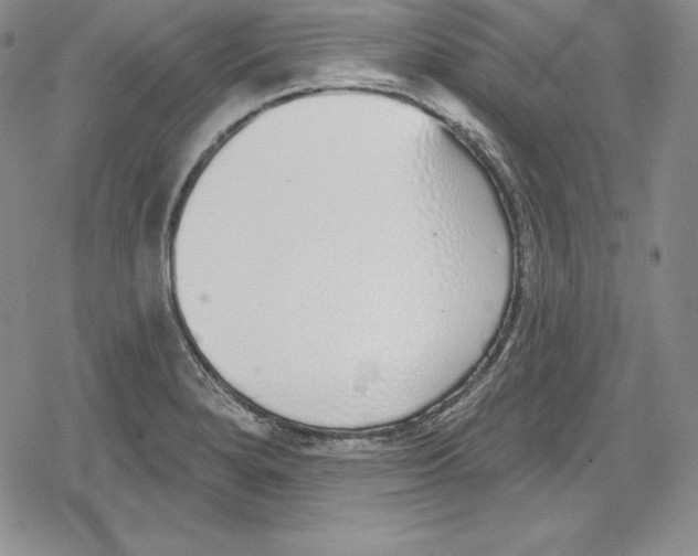 X0000078831280200612111510