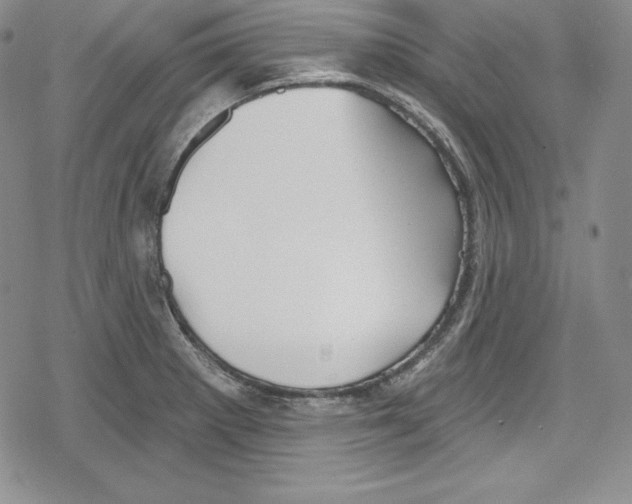 X0000078831281200612111510