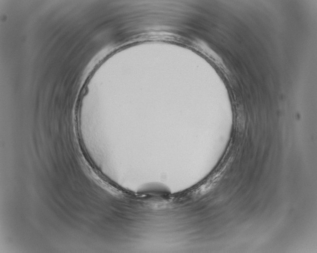 X0000078831283200612111510