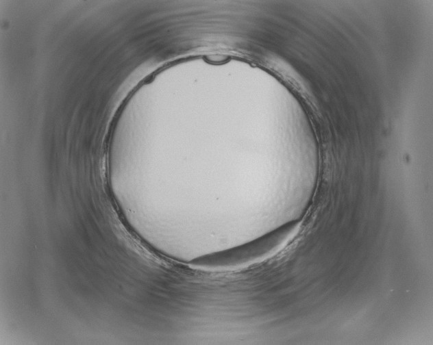 X0000078831284200612111510